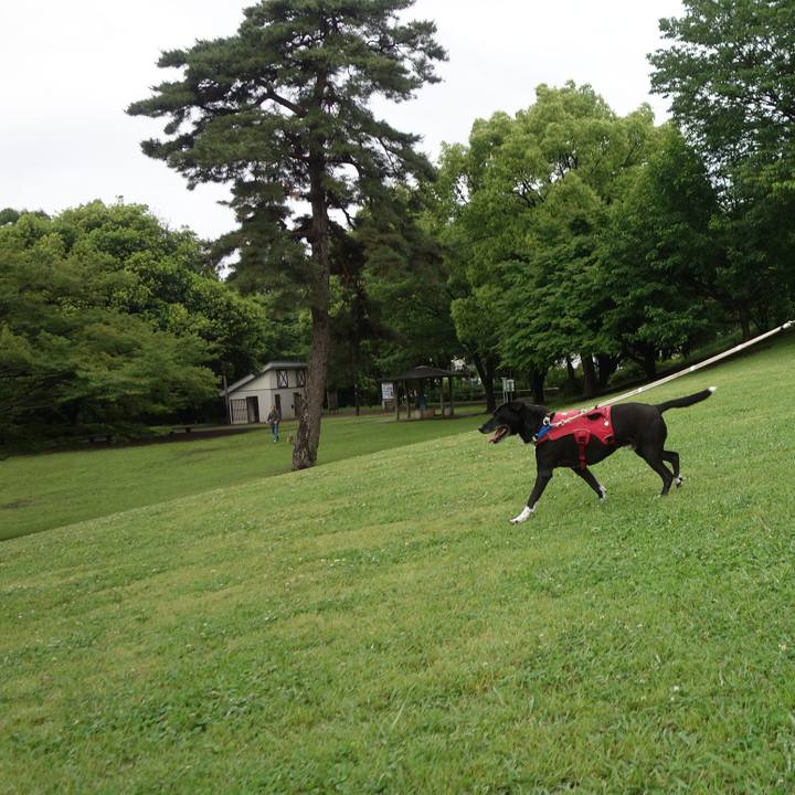 E3f833b2 e813 4a1d a59a 5f77173bfbcf 1685409363273