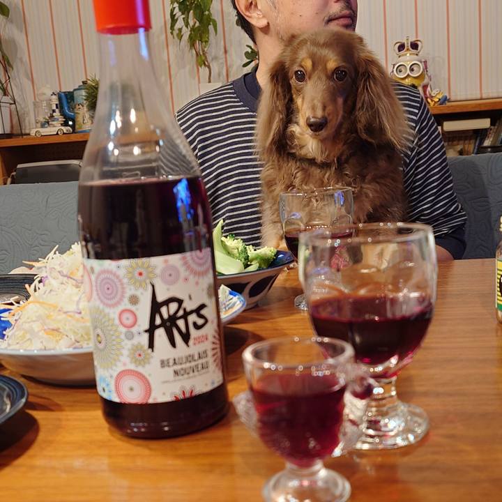 E3f84687 5103 4d22 9d3c 5ea47bb2e38f 1732455117643