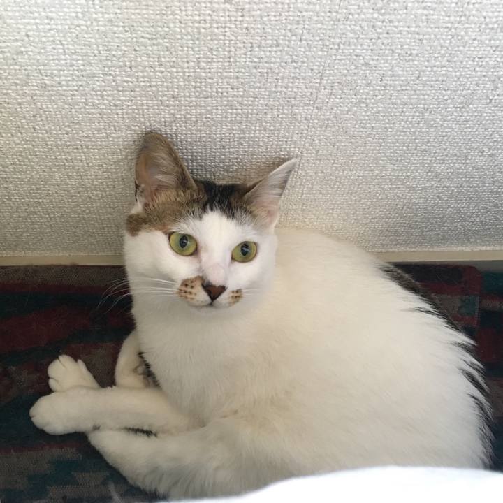 E3f8b20d 71c4 4450 a924 de2c5b7c33c3 1528001846812