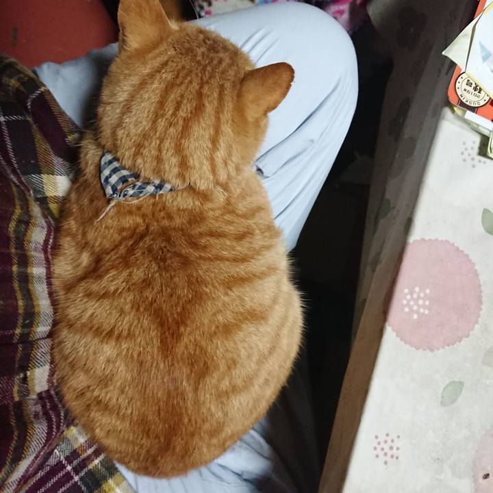 E3f8f57f 0352 4c9f 8404 36b48e92dea5 1574282382600