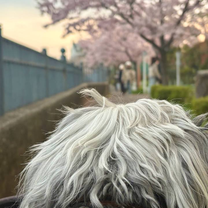 E3f8f8f3 db6e 419c 926a 0efc3fd0d051 1774695742993