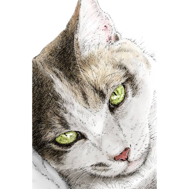 E3f901af 8101 4e85 a268 81facca08404 1623633799661