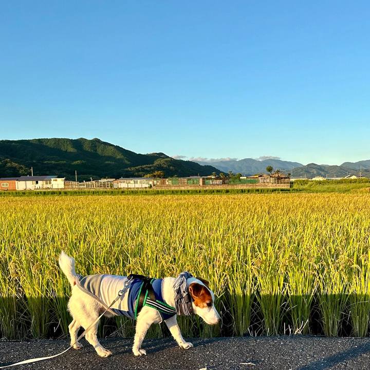 E3f9083c 312b 4e1b 8c7e d7d100b387a2 1728009134431