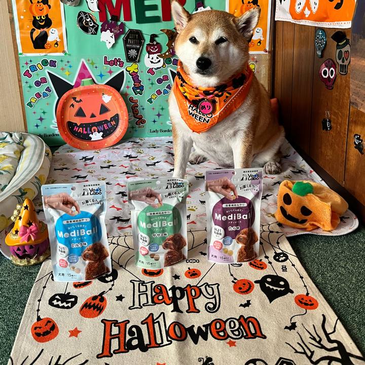 E3f91e9e 907b 457b 9105 f1e6a9d5d7e1 1664591769264