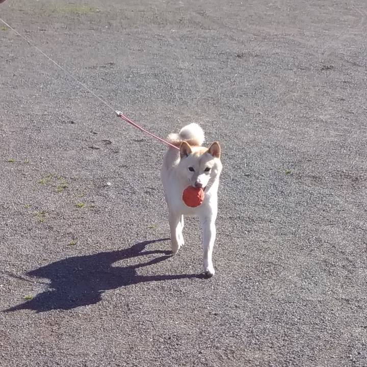 E3f97209 41b8 4940 994a bb801beb84c9 1552128328492