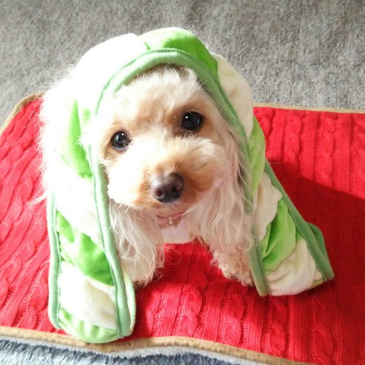 E3f97669 beb9 478c ab7c 9fb79d83d69d 1516061182131