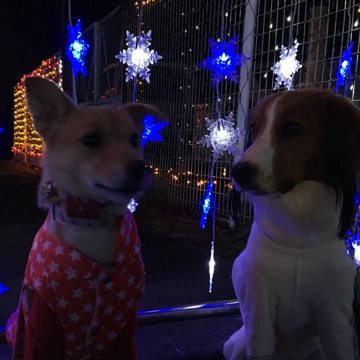 E3f987b9 c3e7 4293 a06d 5533702e33c5 1512837195386