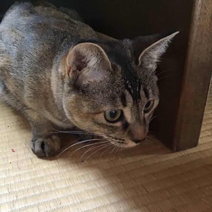 E3f9bb3e f09f 4d6b 82fe 289e336e0b62 1584863510073