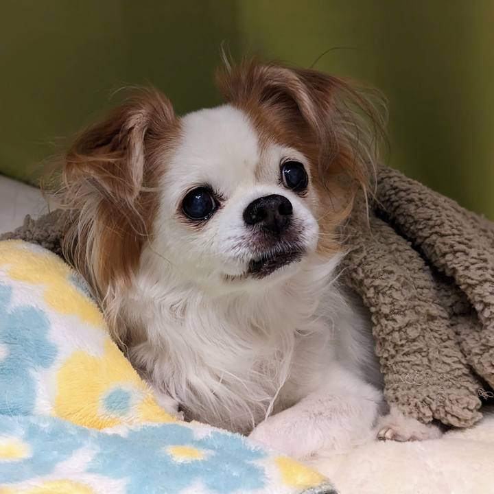 E3f9c46b 2d33 4baf 9d84 86827392209f 1675578246084