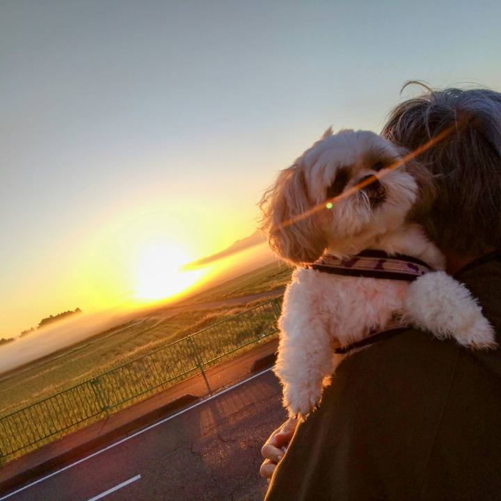 E3f9e9ce b52b 49e2 9a7b f90c98ae1ca5 1728782197573