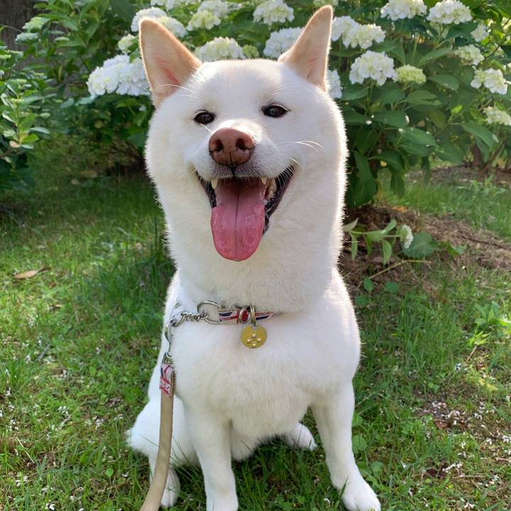 E3fa24d1 cca1 4ffc 8f72 8ba3b46551ed 1591313167176