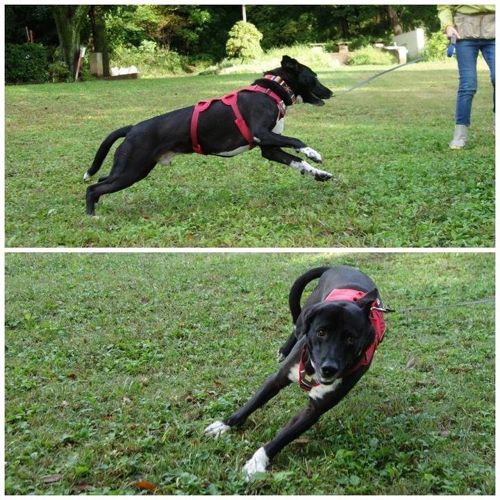 E3fa3399 8591 4019 bccf 92804c5b7177 1603153515680