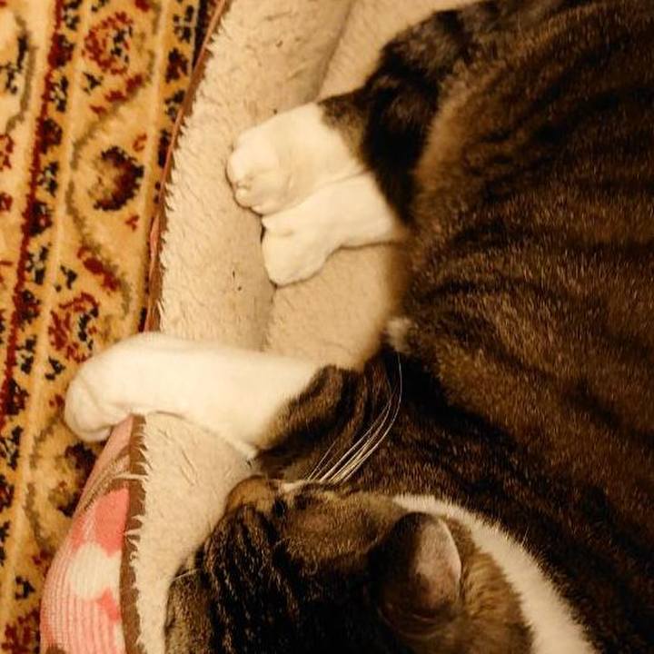 E3fa722a 7ace 4957 b77b 466bafbece57 1677131043200