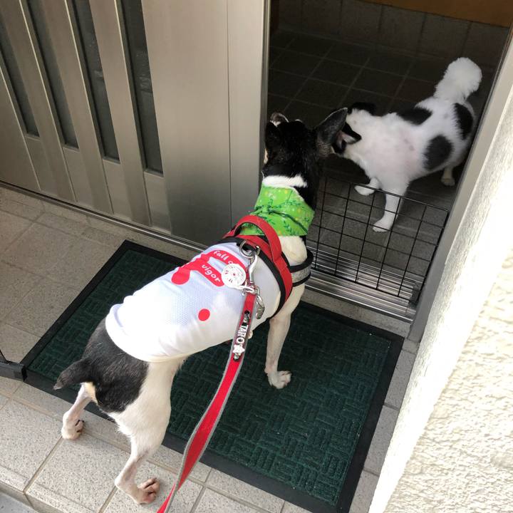 E3fa7d4e b8b0 47e2 bfc3 75127dc3f3ef 1566048775681