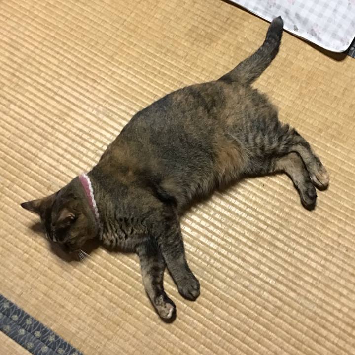 E3fadb52 ecfc 4260 ae4a c7eaa88042ef 1721635070007