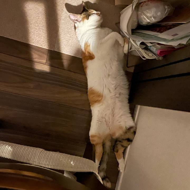 E3fafd00 1bf5 4a1d a3c8 13fb8d0a9249 1661087697618