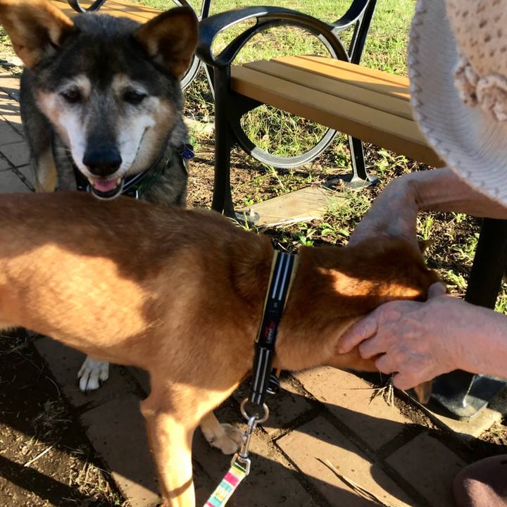 E3fb0303 1ae9 40a3 85c3 f39389de4add 1538822589738