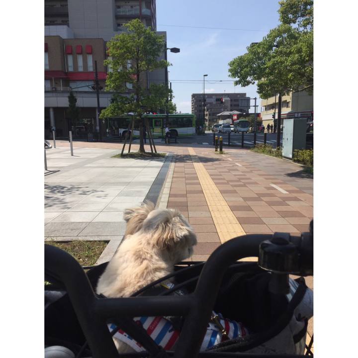 E3fb0cd2 ee91 4602 ad0c 2d120fa2cf4c 1566011386736