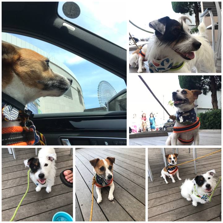 E3fb377b db3a 410d a0b4 f3834f98ffd6 1532157901489