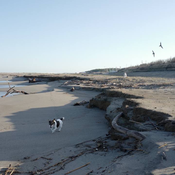 E3fb3f65 0354 4e81 bee7 7cc438973495 1573622001017