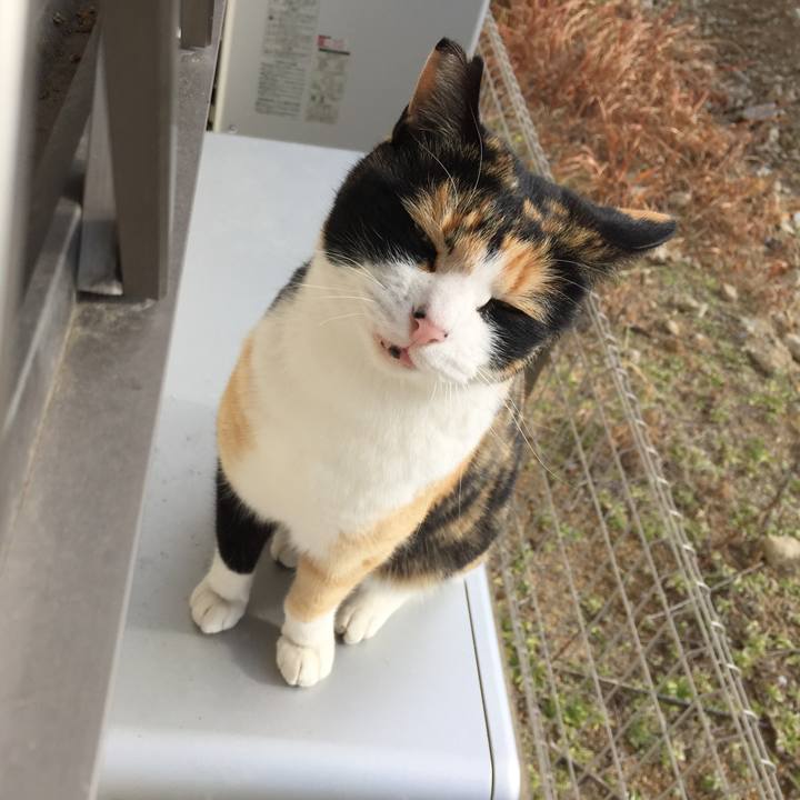 E3fb8a6f e731 4027 b927 56505c806ad0 1514862047750