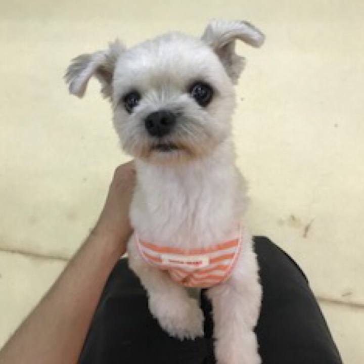 E3fb9fd4 86f6 4836 a710 8c8ecd72cd24 1536842463832