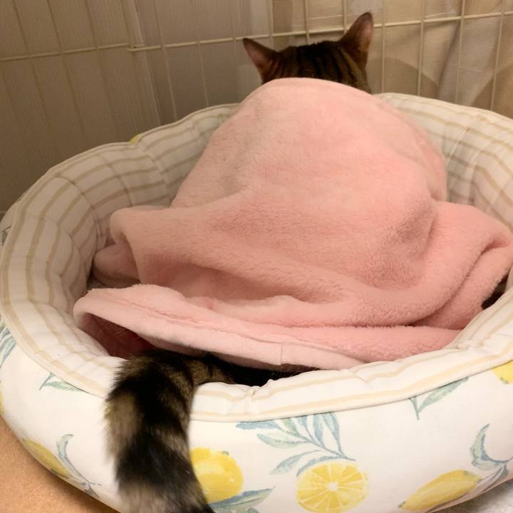 E3fbcf11 d93e 435e 8cb2 475b17e08d27 1630969424093