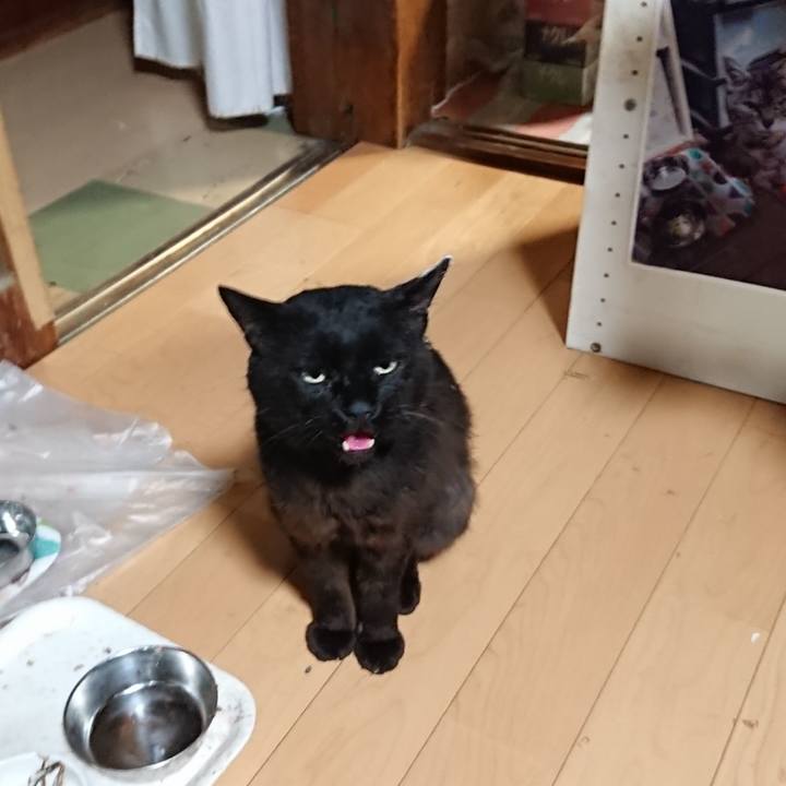 E3fbf73c 0112 43ad a684 de73ae27110f 1625053472196