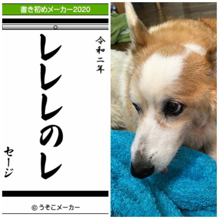 E3fbf805 0222 40f0 8b7b 088d6ee445b0 1577843753183