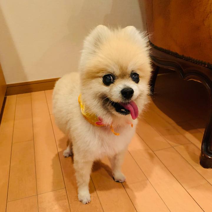 E3fbfc2c d144 4527 b81e 06f2aa93f942 1682676984938