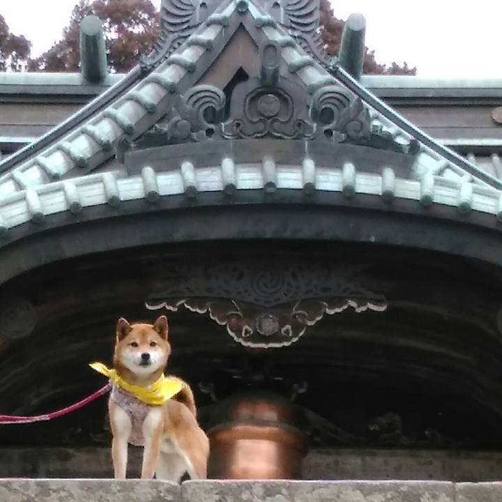 E3fc0123 e8f9 4ca9 99a9 fec08a2439d3 1519546419247