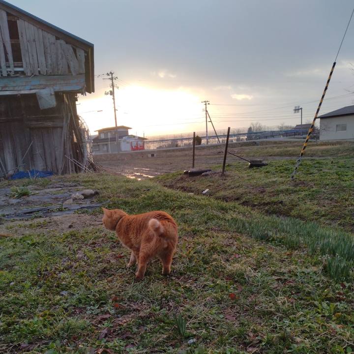 E3fc09f6 5a4f 48be 8bce c2744b6d1c0c 1679954218388