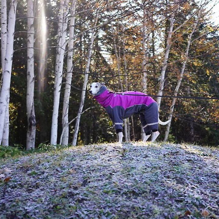 E3fc1bfb 4f9a 47c9 ad53 cd4e66811fbd 1544435180168