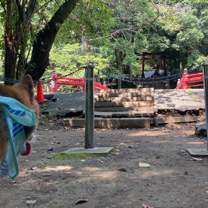 E3fc2c6f a675 448c a1e1 a234275e1718 1755493124227