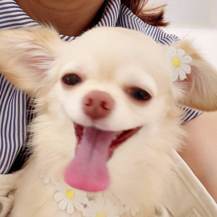 E3fc33cb f6d6 44d8 a7a8 8707117f60ce 1691041257140