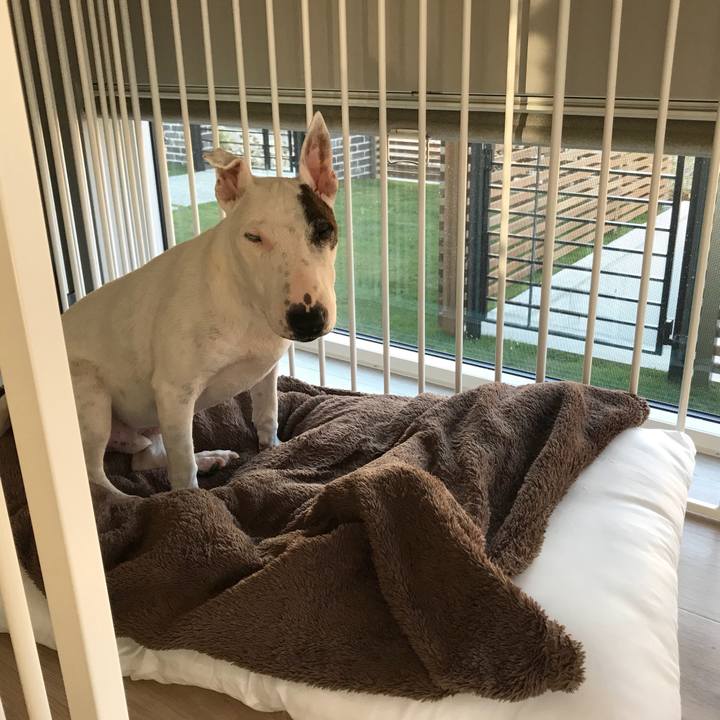 E3fc58cd 14da 4d02 88ee 3bf3fbcc180c 1573196591750