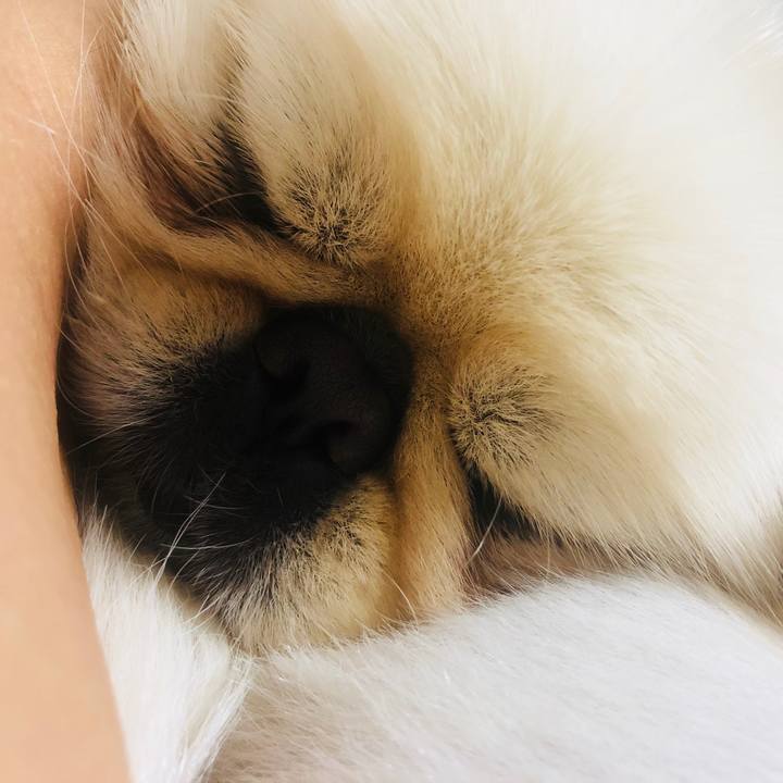 E3fca958 545c 4aba b138 da42ca460c67 1537281602191