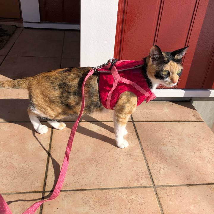 E3fcfbf1 0d2a 4a53 abf8 23db1e2a81b2 1549115132008