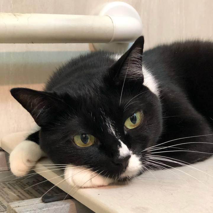 E3fd5364 cf95 472e 95f7 5096ea80a0c7 1570746511494