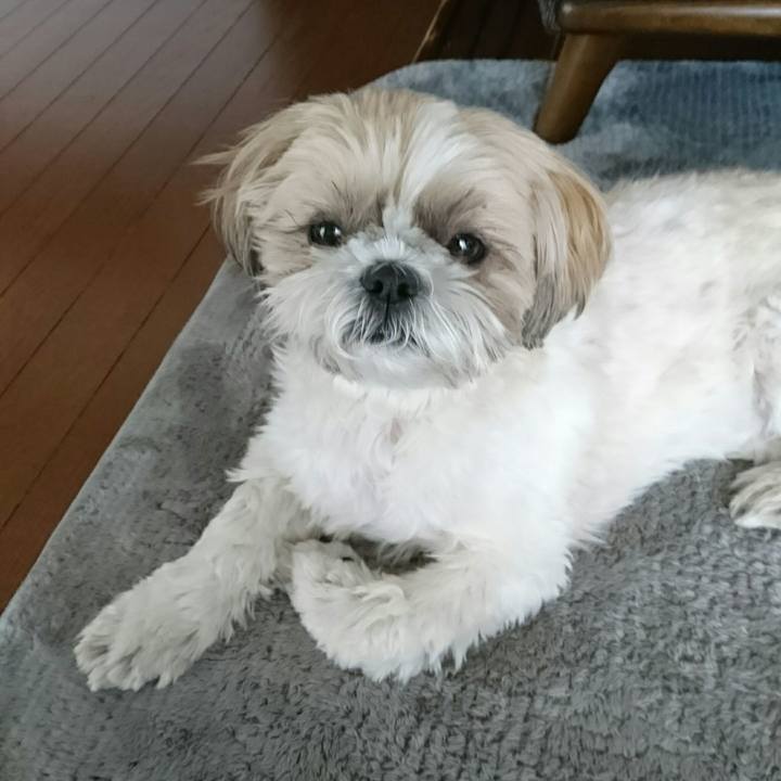 E3fd5f3a f625 4bc1 a296 e7a12fafa21a 1549860002587