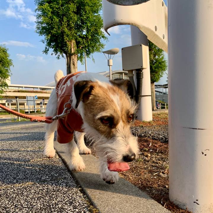 E3fd6261 81f4 4db0 8786 ae53dba8a853 1619399132273