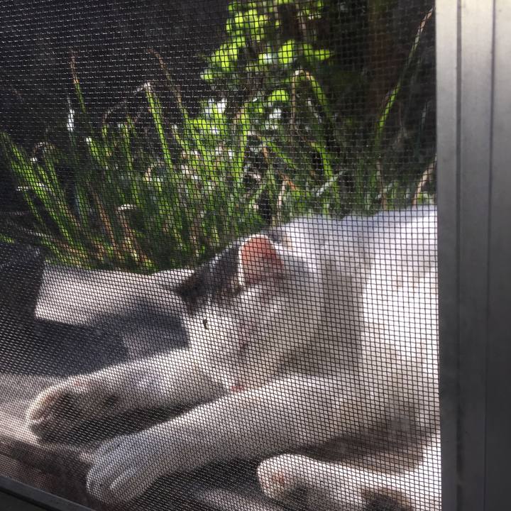 E3fd7002 5c40 4ded a004 23e90262ecf0 1655719638369