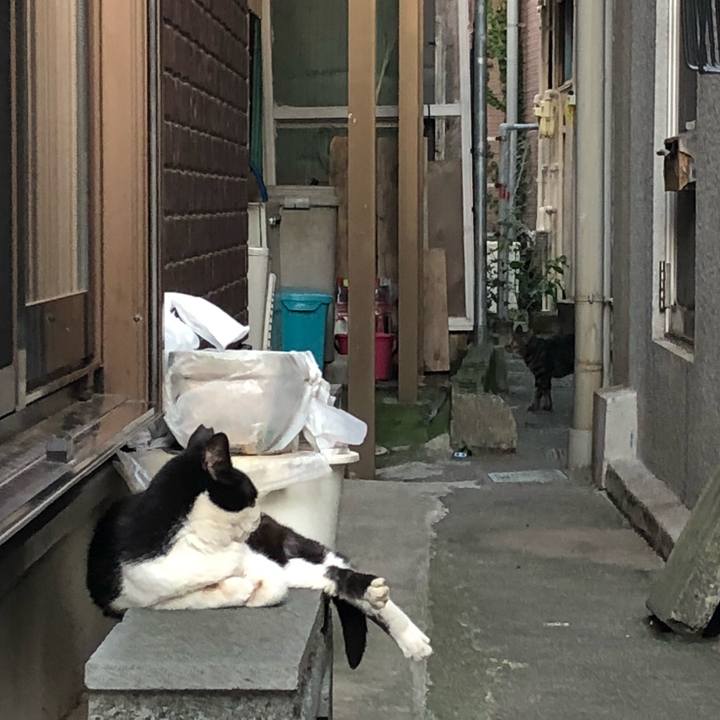 E3fd768b ee4e 4899 b16b 8b4cf39fbd4f 1533846084675