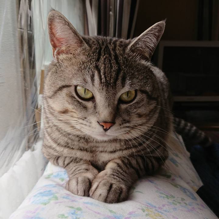 E3fd8677 ccf7 4eef 8be0 e0e48de05c36 1522973285839