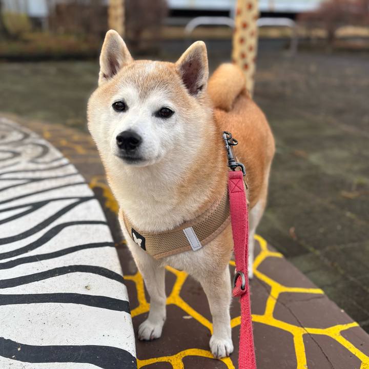 E3fda9de d179 42fe 9df3 18194fc34b45 1741548553452