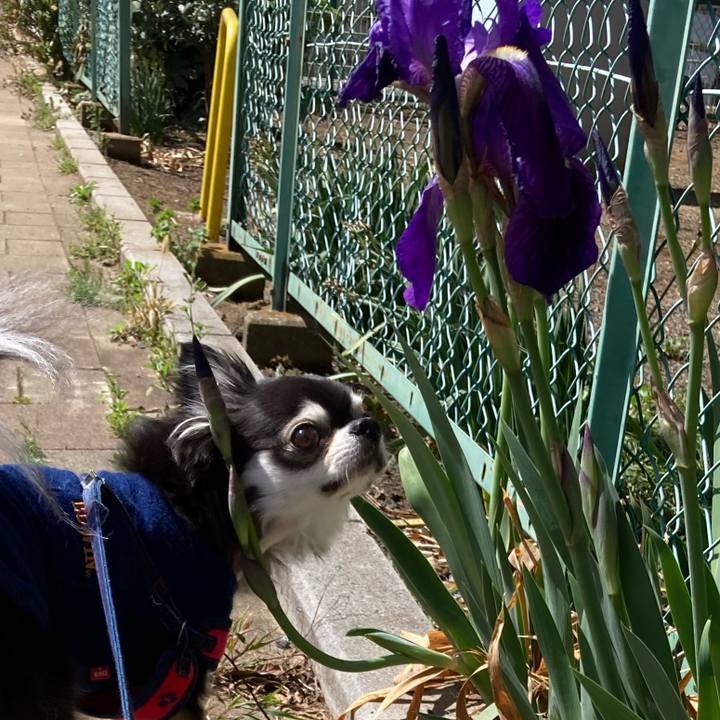 E3fdab6d e284 4d7c 9227 05e5b53c0464 1711899854260