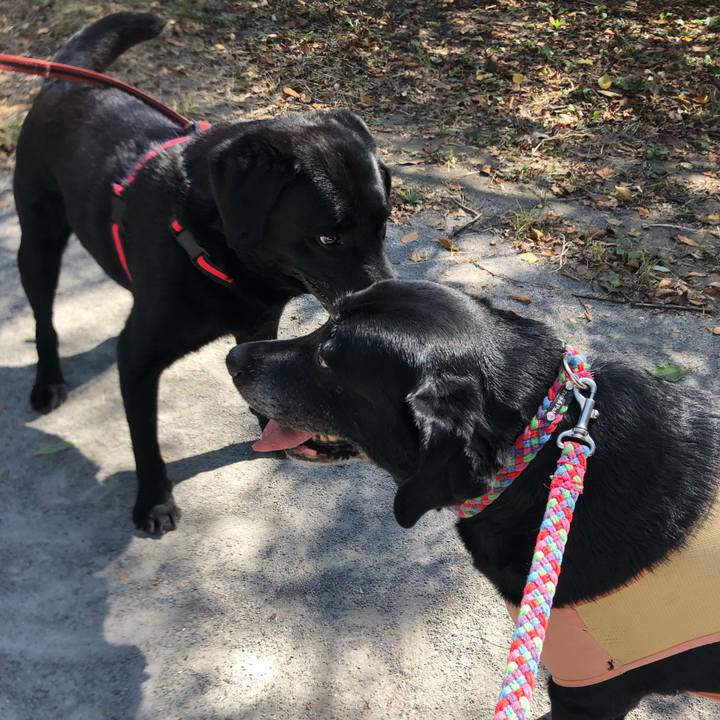 E3fddd2c 76f5 4acd bfa6 f59e075051d7 1569640649909