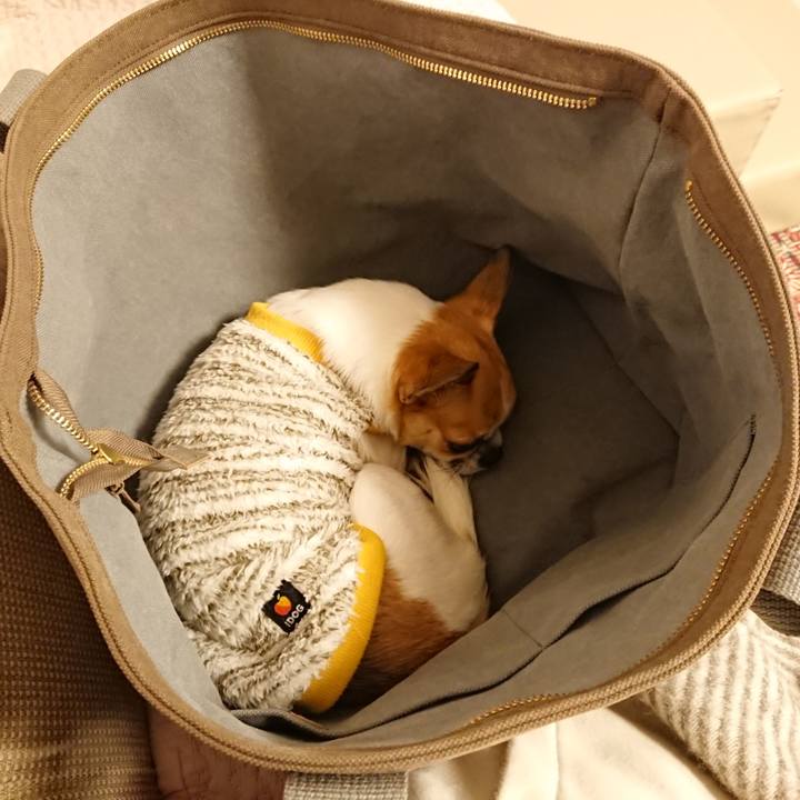 E3fdde72 7b1c 4b44 9099 1c0cb90277ee 1607593388491