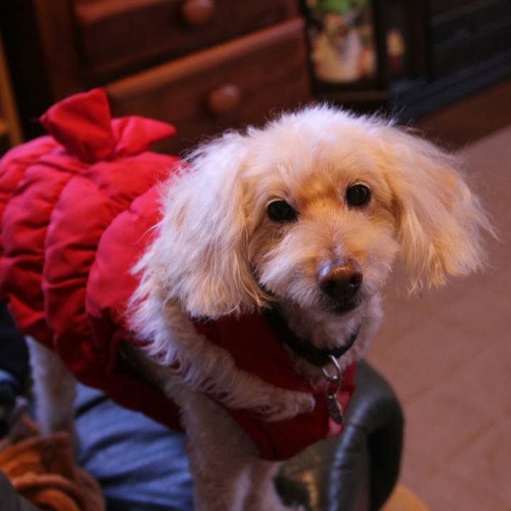 E3fe01a0 b7af 4be1 a9cd 1ddd4465fa49 1640940017243