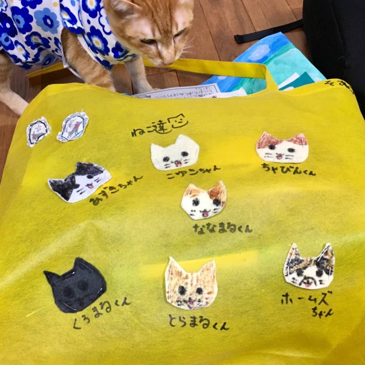 E3fe05dc d3ed 44f7 b104 77bbc66808e7 1521731160563